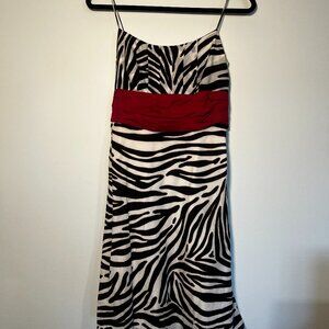 Ann Taylor Zebra Print Dress Size 2 | Hot Pink Waist Sash | Lined